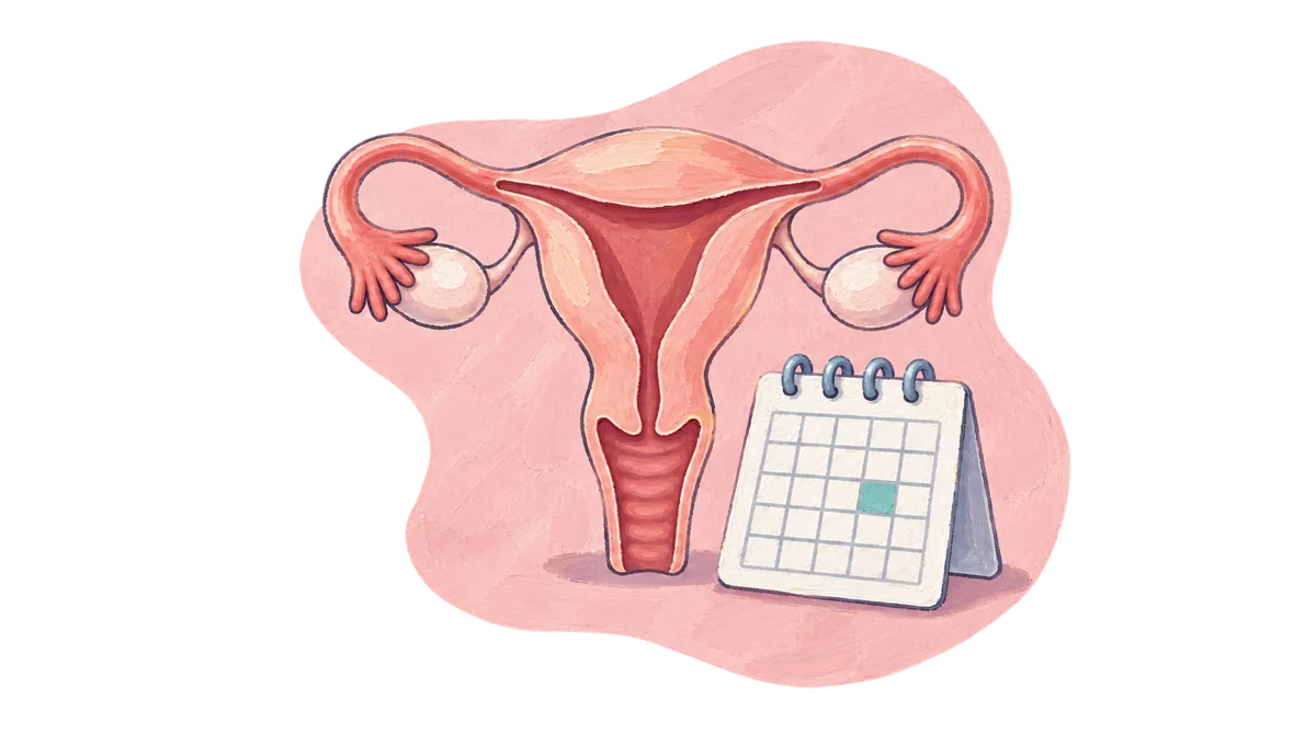 Menstrual care illustration