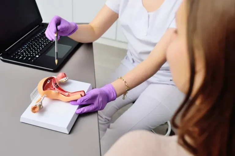 Doctor explains uterus model